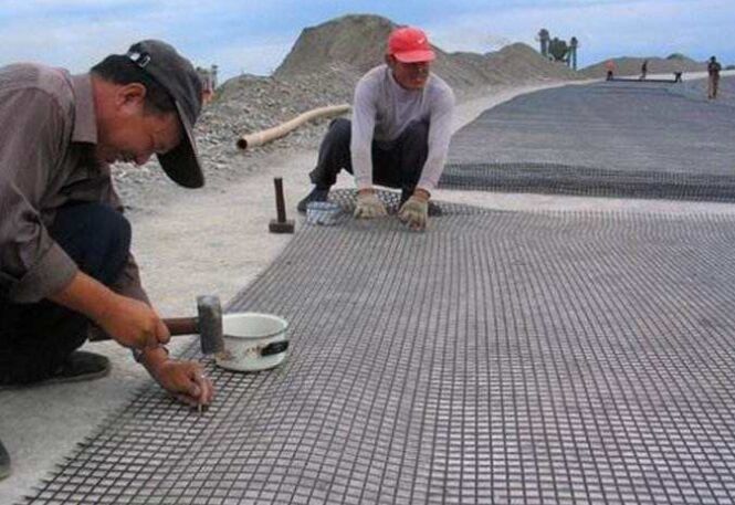 ���w��ő����ڸ��N����